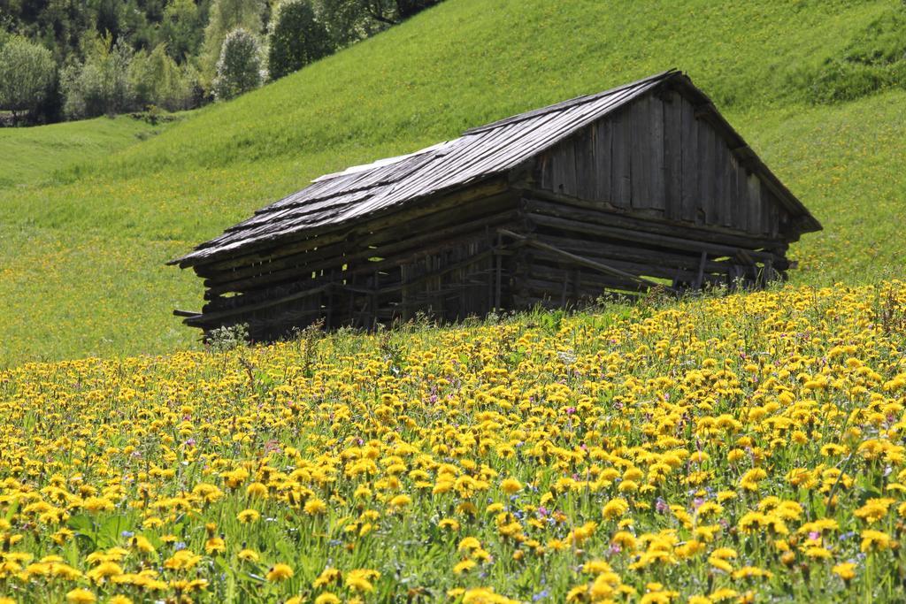 Apart Gletscherblick Kaunertal Ngoại thất bức ảnh