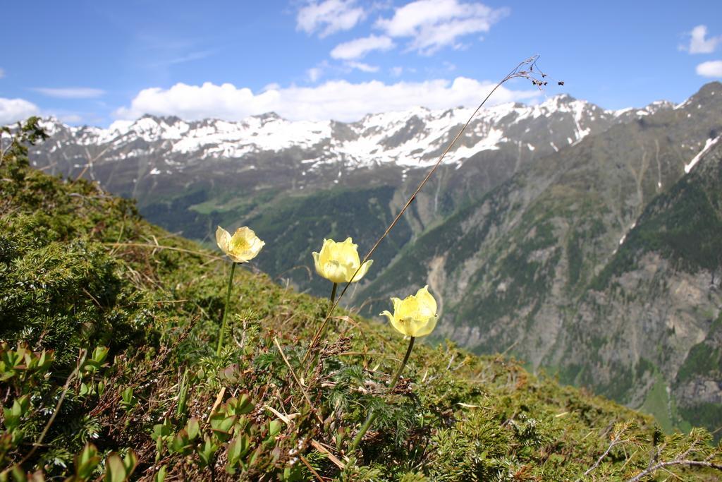 Apart Gletscherblick Kaunertal Ngoại thất bức ảnh